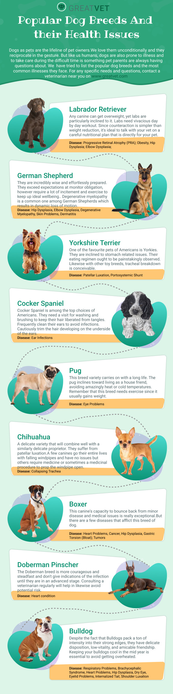 Popular Dog Breeds and their Health Issues Infographic - GreatVet