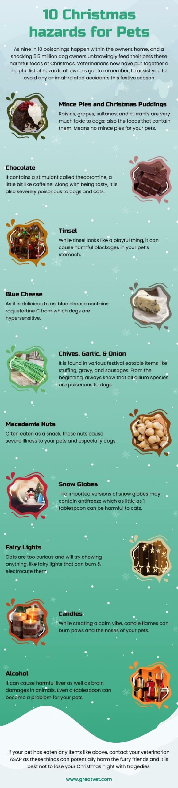 10 Christmas hazards for Pets - GreatVet [Infographic]
