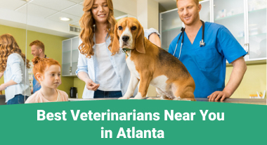 Best Veterinarians Near You in Atlanta - GreatVet