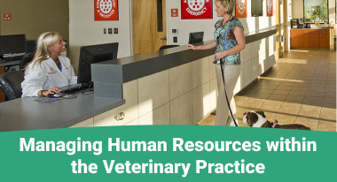 Managing Human Resources within the Veterinary Practice - GreatVet