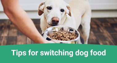 reasons to switch dog food