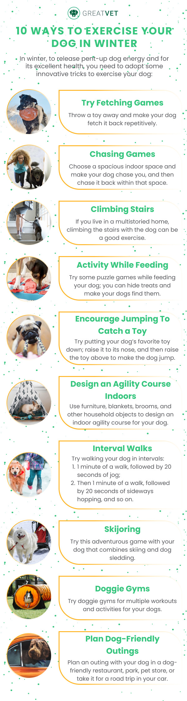 10 Ways to Exercise Your Dog in Winter