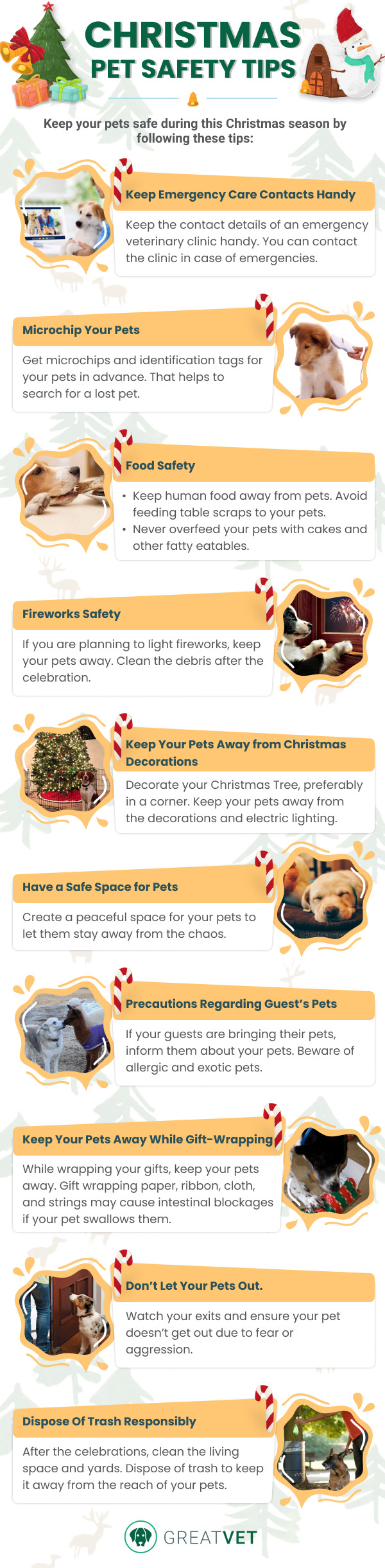 Christmas pet safety tips