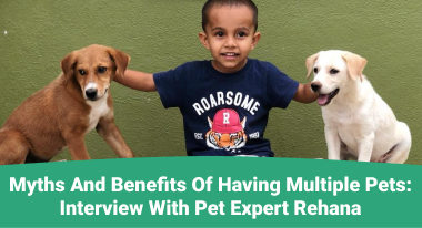 Benefits of multiple pets