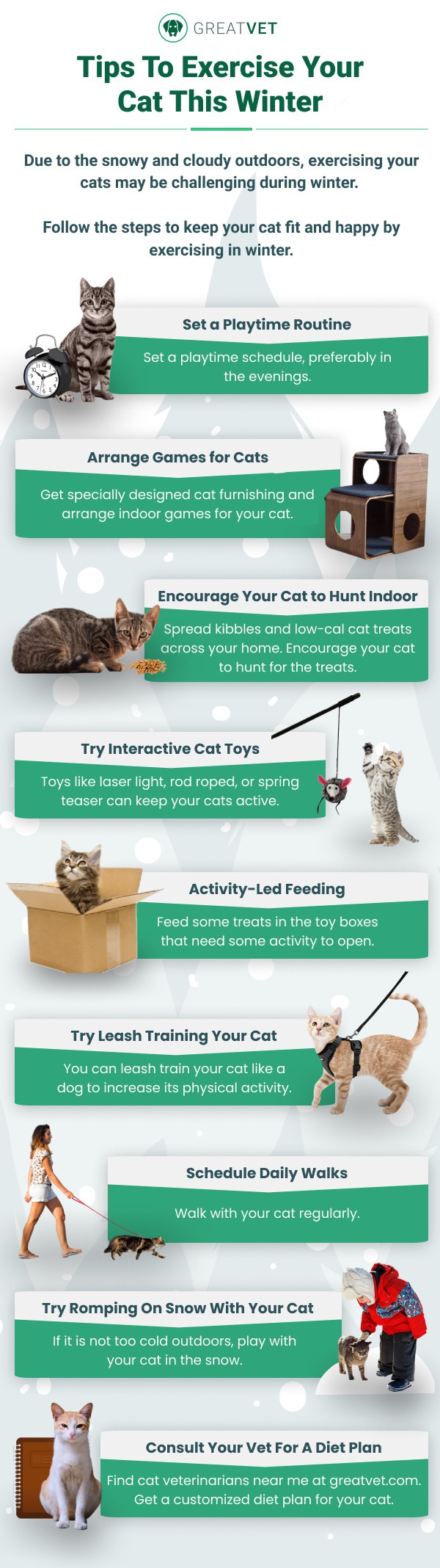 Winter tips for your cat exercise