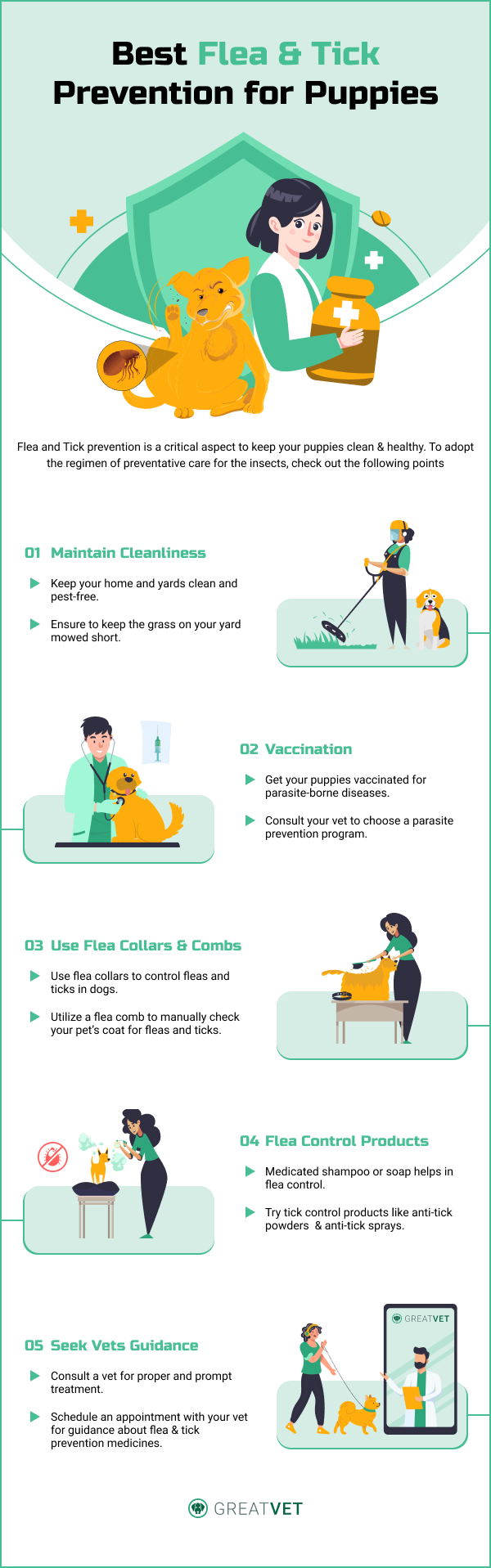 Best Flea and Tick Prevention 