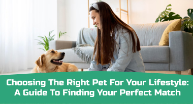 Choosing the Right Pet for Your Lifestyle_ A Guide to Finding Your Perfect Match